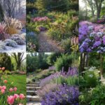 perennial garden design