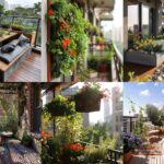 balcony and rooftop garden ideas