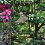 shade garden ideas